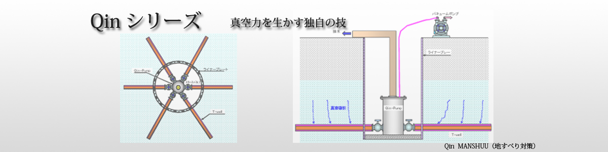 Qinシリーズ