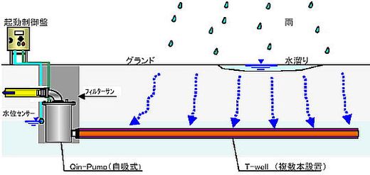 Qin君