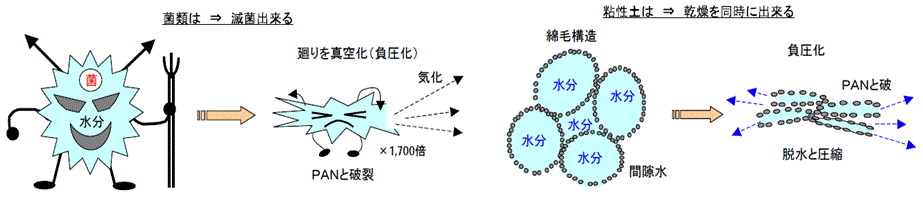 SKKシステム